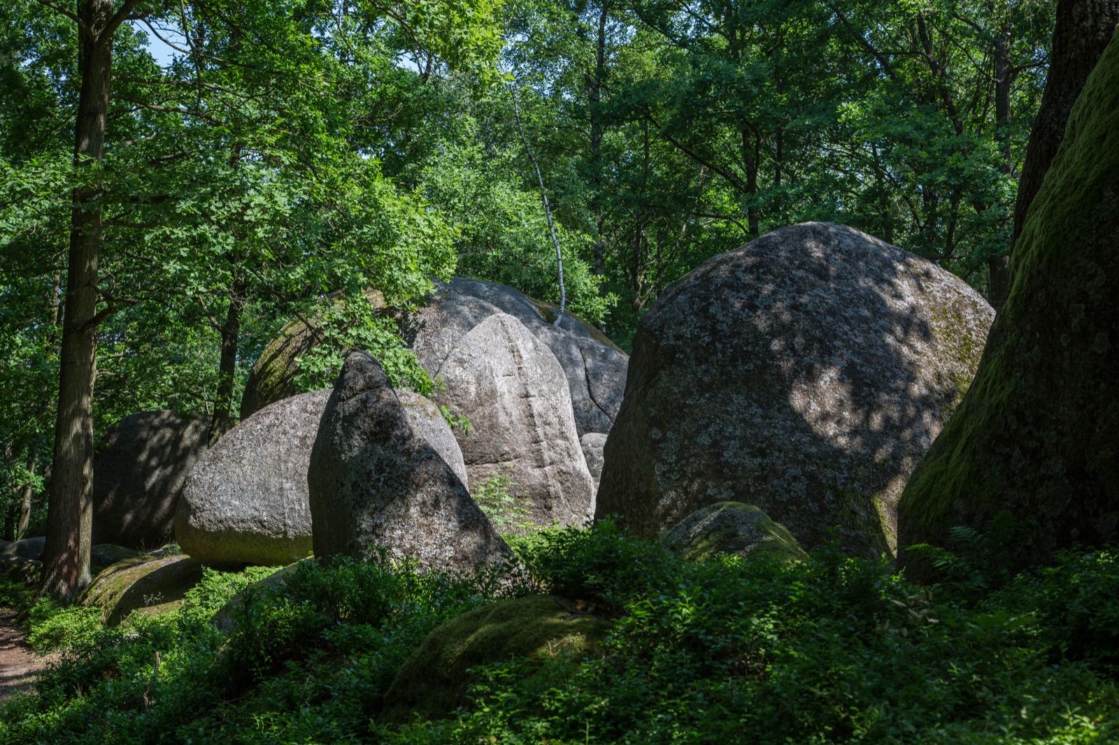 Riesige Granitfindlinge im Naturpark Blockheide bei Gmünd, ein Wahrzeichen am Wasserlandschaftsradweg