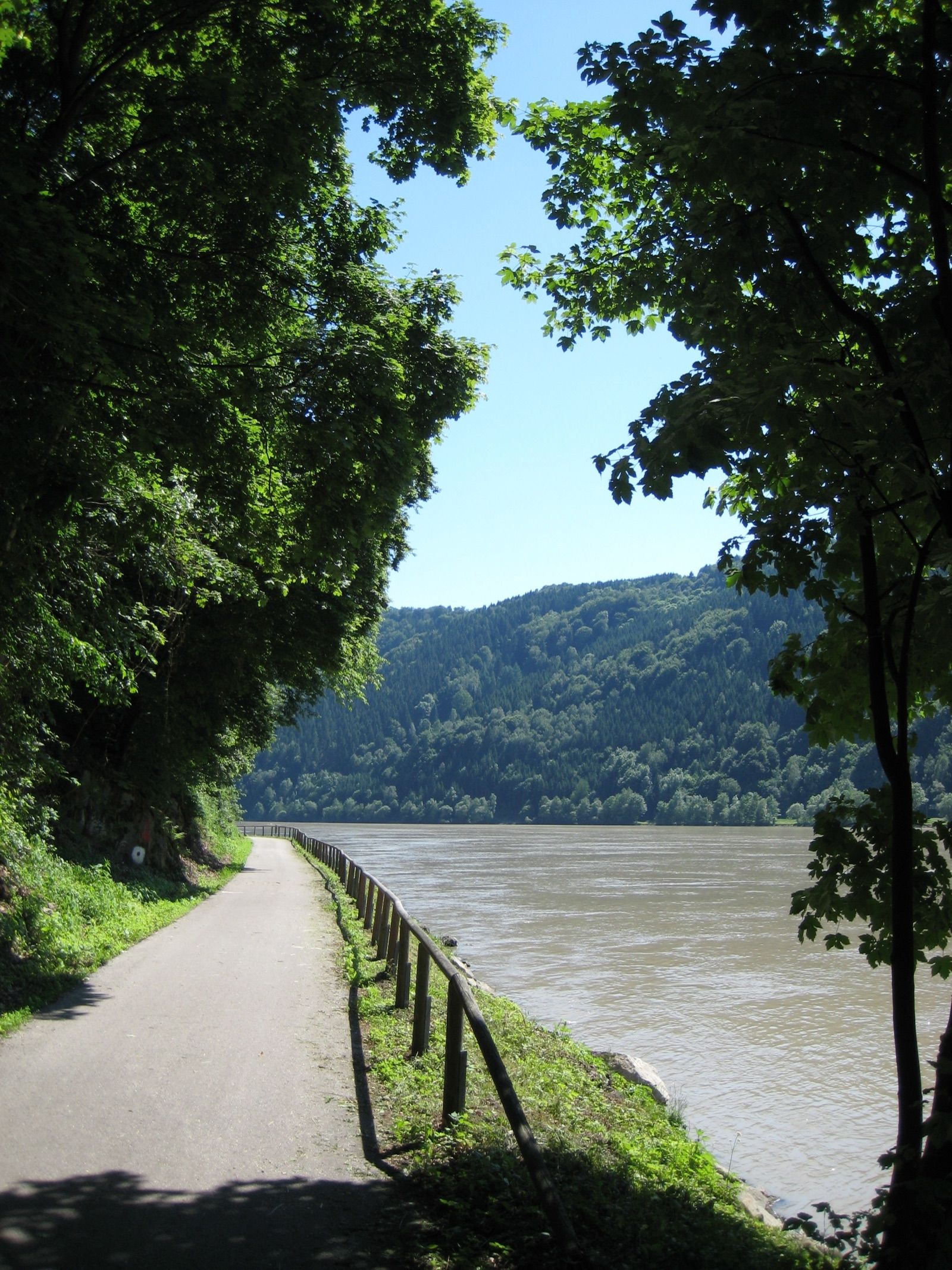 Der Donauradweg am Donauufer zwischen der Schlögener Schlinge und Aschach an der Donau.