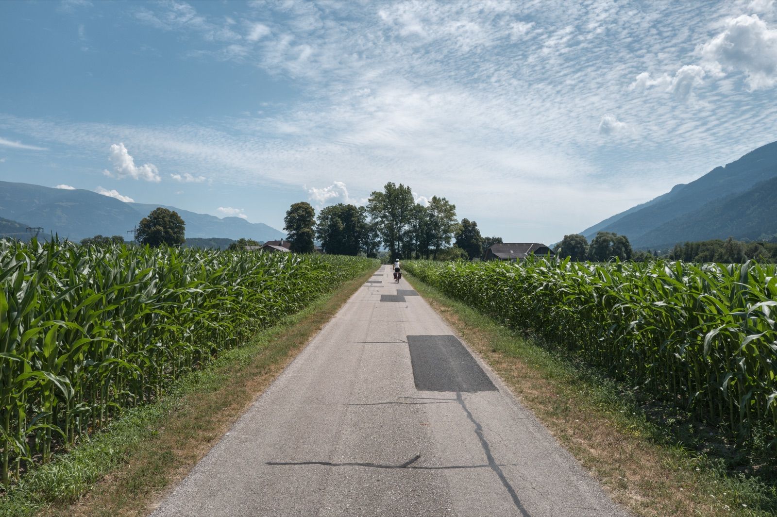 Radfahrer auf dem Drauradweg zwischen Maisfeldern bei Lurnfeld im Drautal