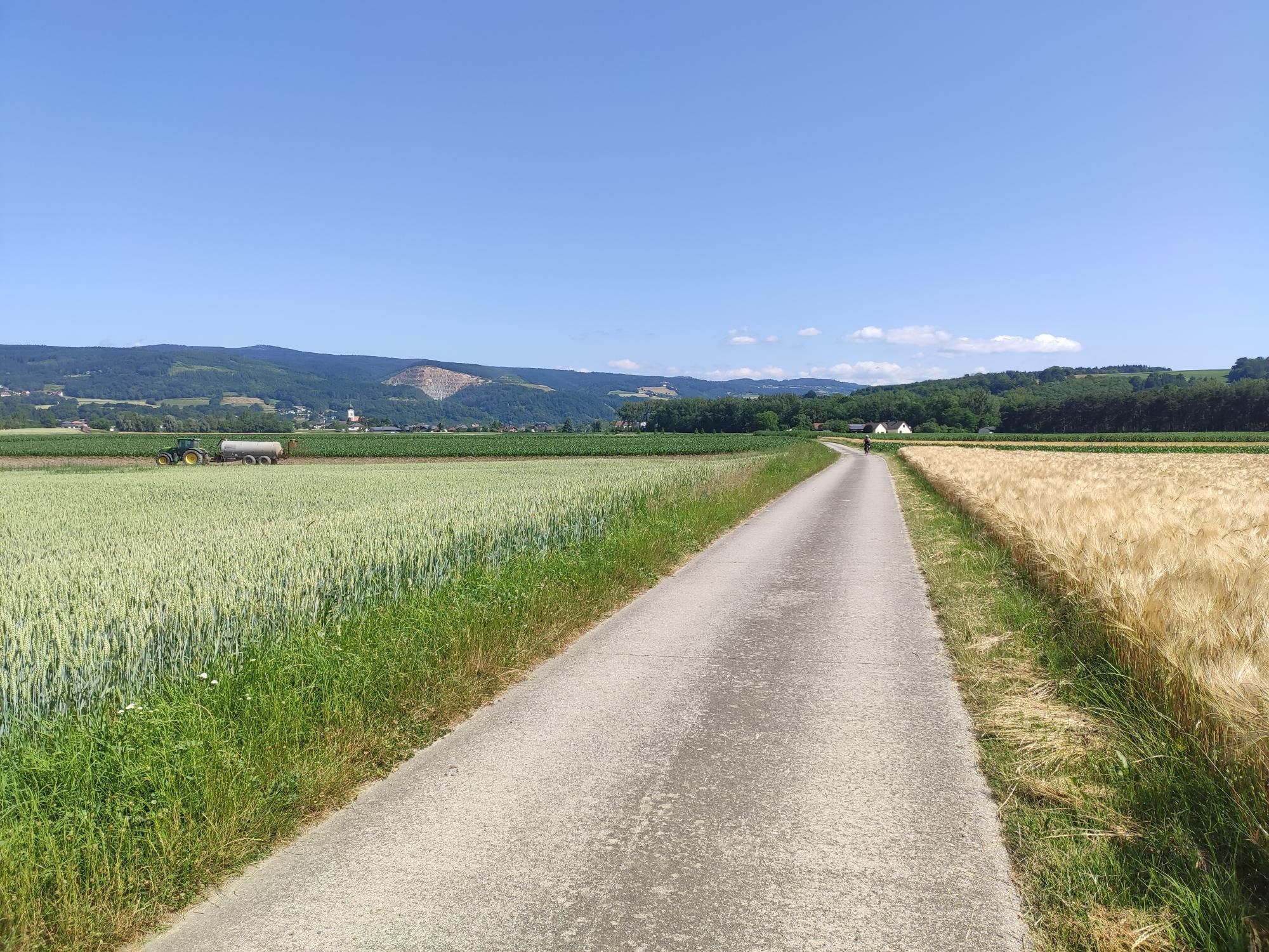 Der Donauradweg durch die Felder bei Ybbs an der Donau im Nibelungengau