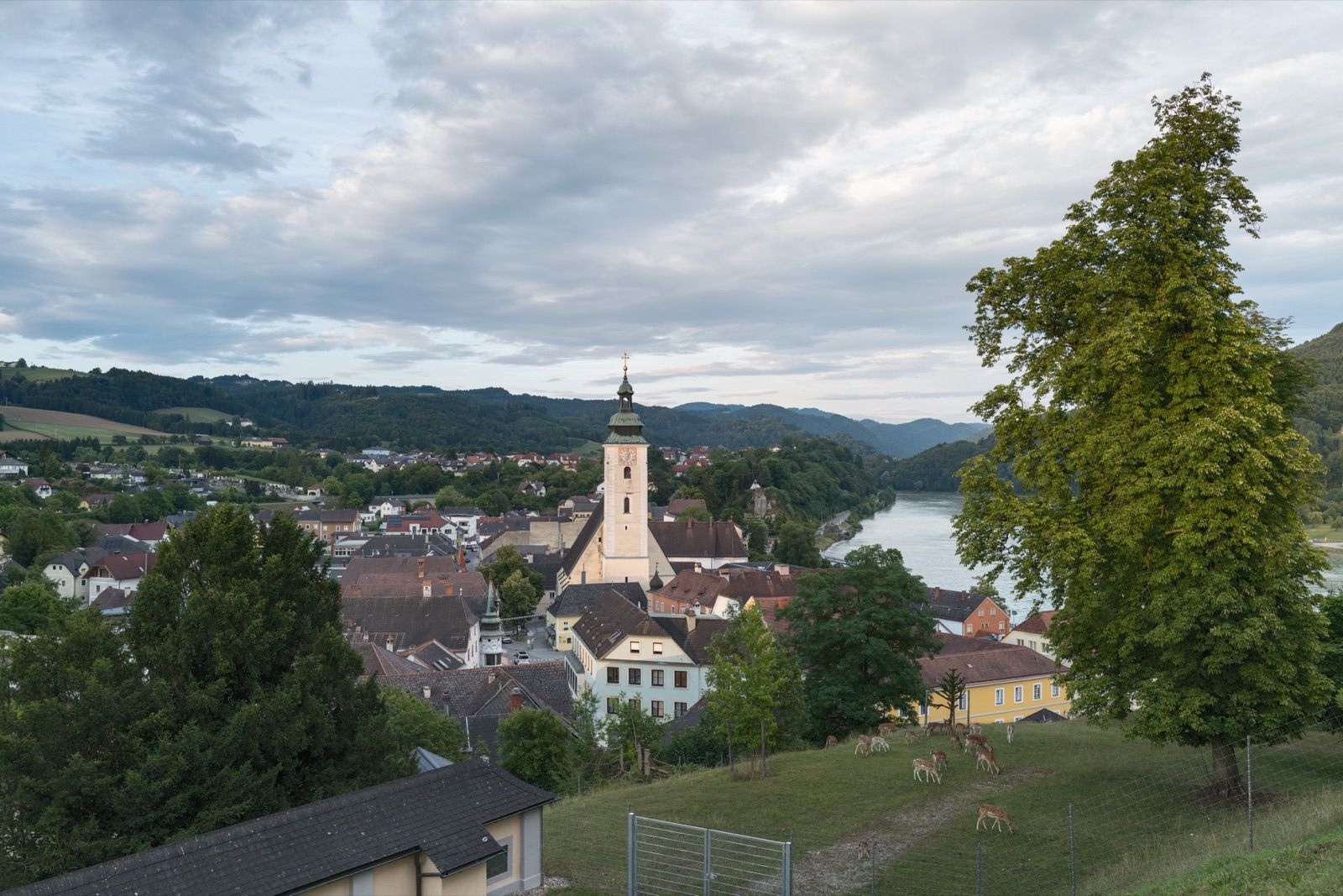 Die Stadt Grein mit der Stadtpfarrkirche und der Donau, am südöstlichen Endpunkt des Mühlviertelradwegs.