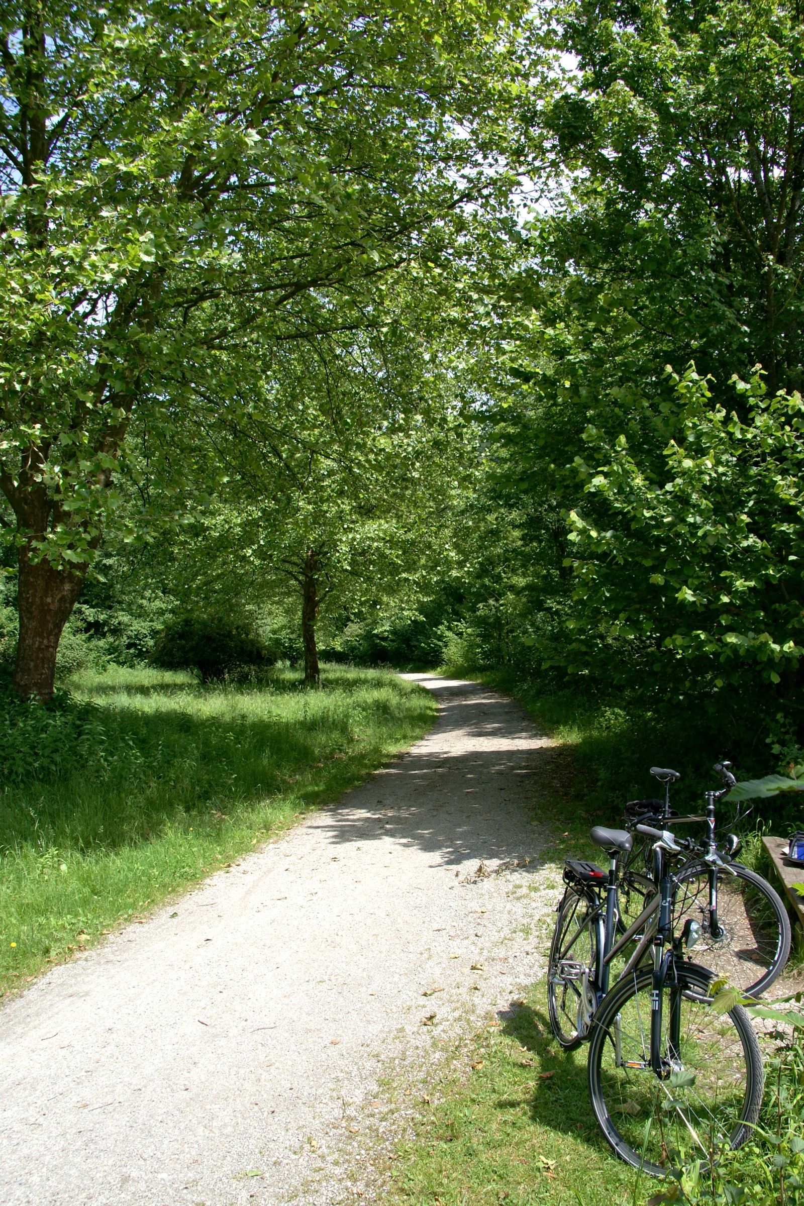 Der Innradweg entlang des Inn zwischen Passau und Wernstein.
