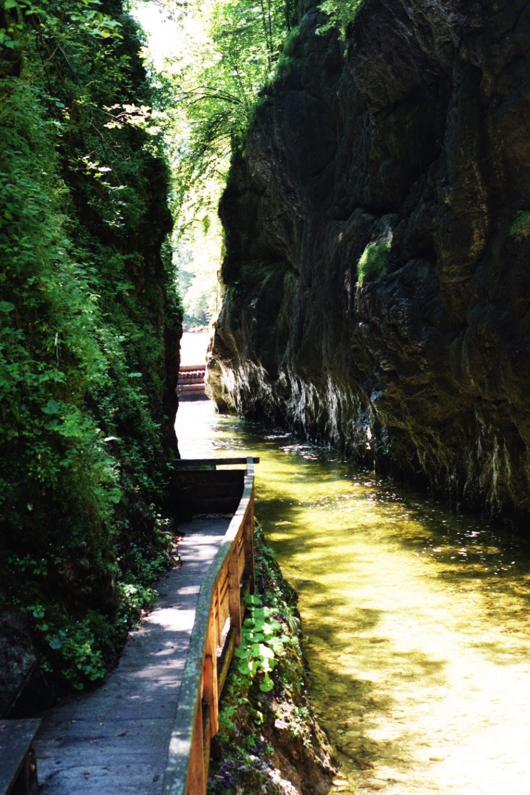 Eine Karstklamm am Reichramingbach im Reichraminger Hintergebirge, nahe der Großen Klause.