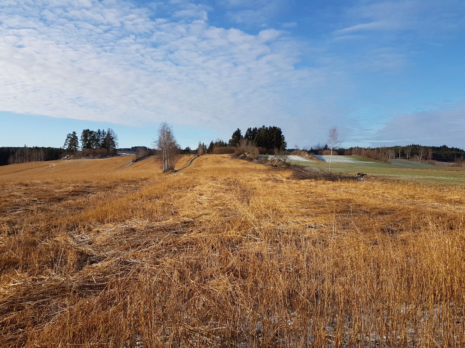 Offene Waldviertler Kulturlandschaft bei Kottingnondorf im Nordteil der Runde.