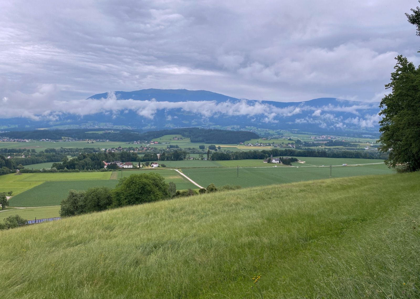 Blick über den breiten Talboden des Lavanttals zur wolkenverhangenen Saualpe, die sonnige Obstlandschaft entlang des Lavantradwegs.