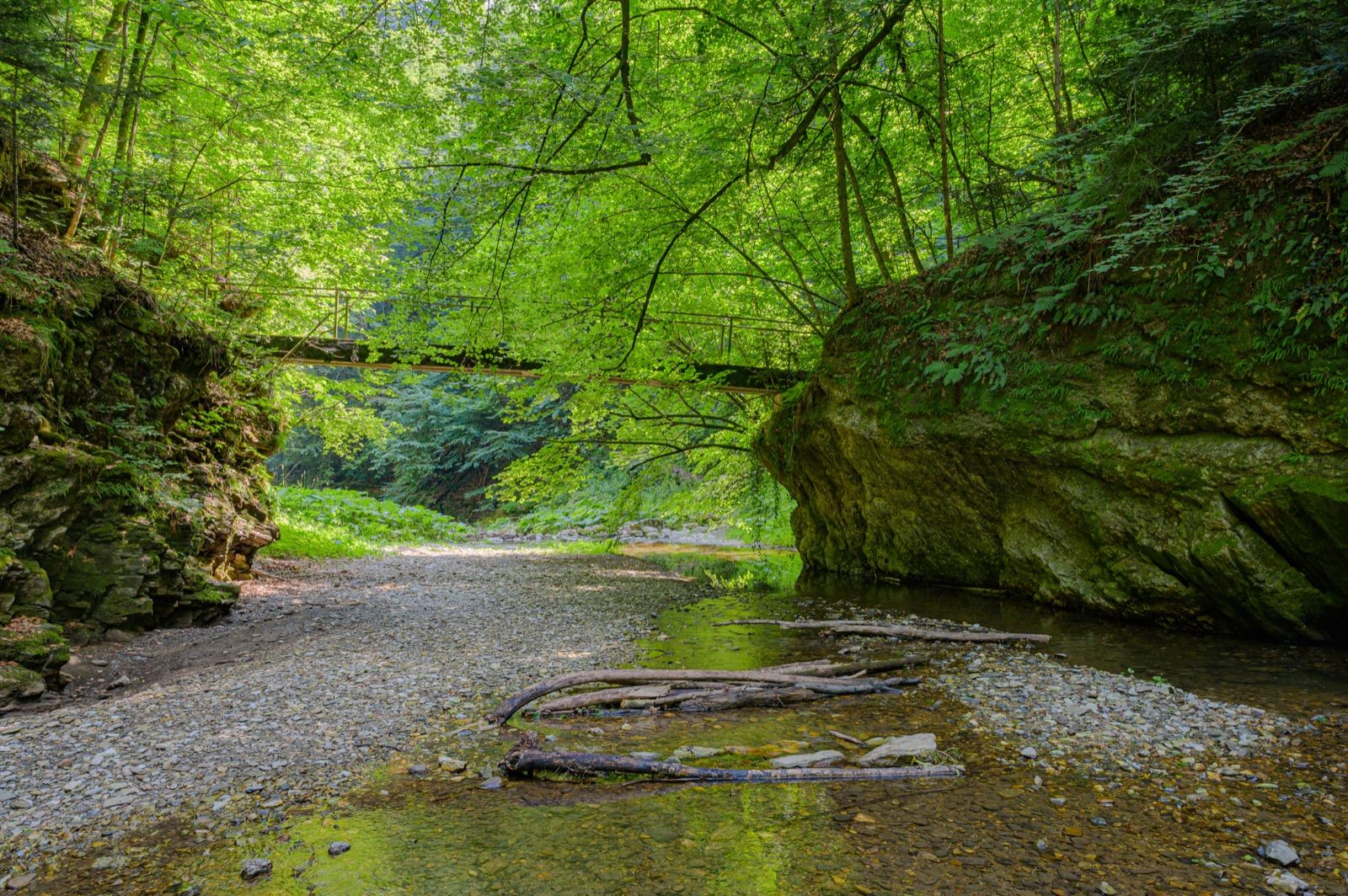 Steg über die Raab im Naturschutzgebiet Raabklamm, dem das Raabtal des R11 folgt.