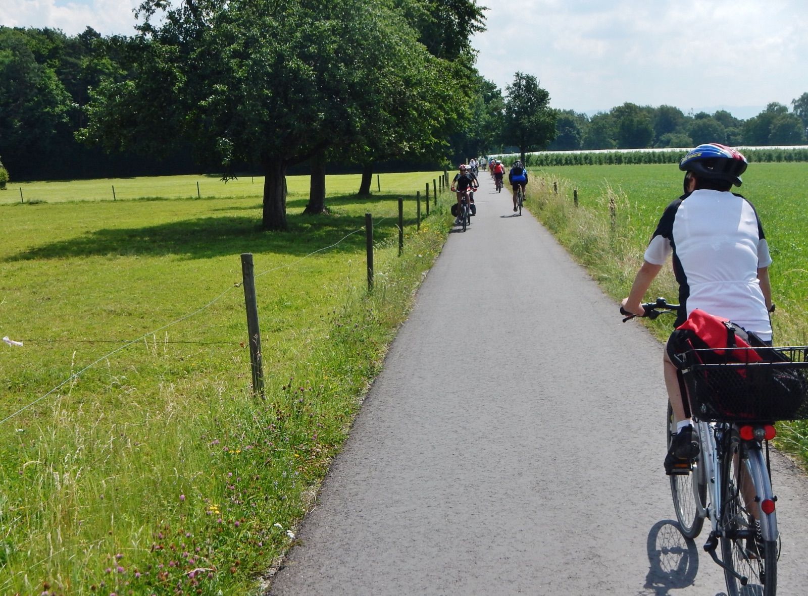 Asphaltierter Bodensee-Radweg durch die Obstgärten bei Kressbronn.