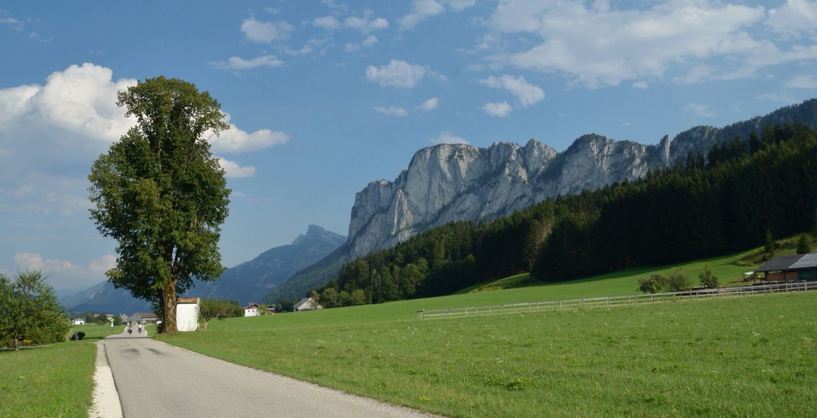 Der Salzkammergut-Radweg führt bei Keuschen durch grüne Wiesen, im Hintergrund die Felswand der Drachenwand und der Schafberg