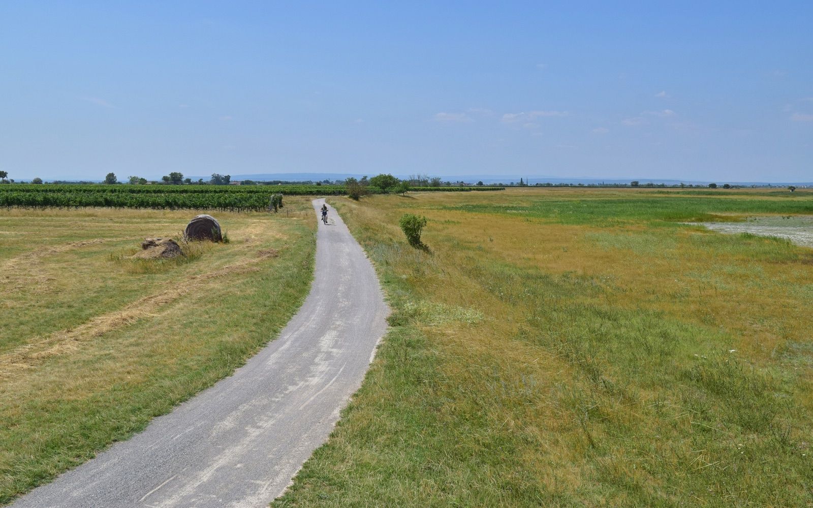 Der Radweg entlang der Langen Lacke im Seewinkel, Grenze des Nationalparks am Neusiedler-See-Radweg.