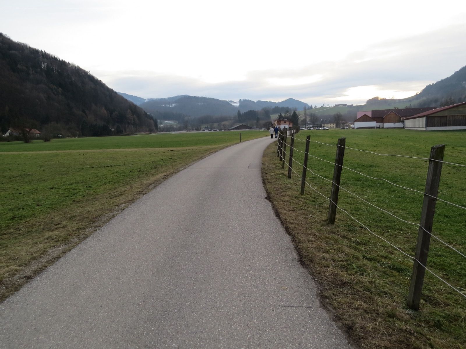 Der asphaltierte Pielachtal-Radweg führt zwischen Wiesen und Weidezäunen von Schwerbach nach Kirchberg an der Pielach ins Tal hinein.