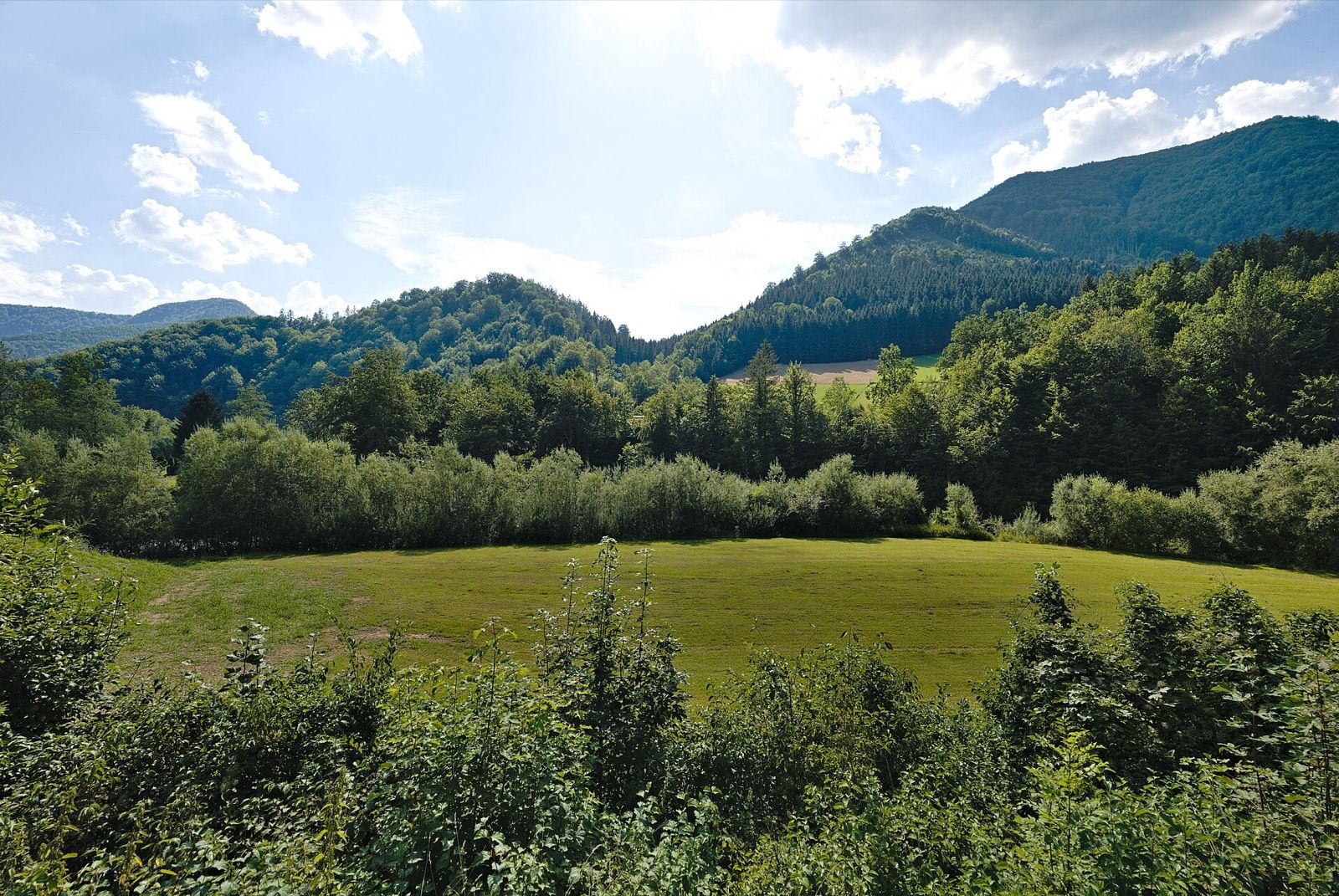 Das Reichramingbach-Tal im Nationalpark Kalkalpen, das nördliche Eingangstor zum Hintergebirge.