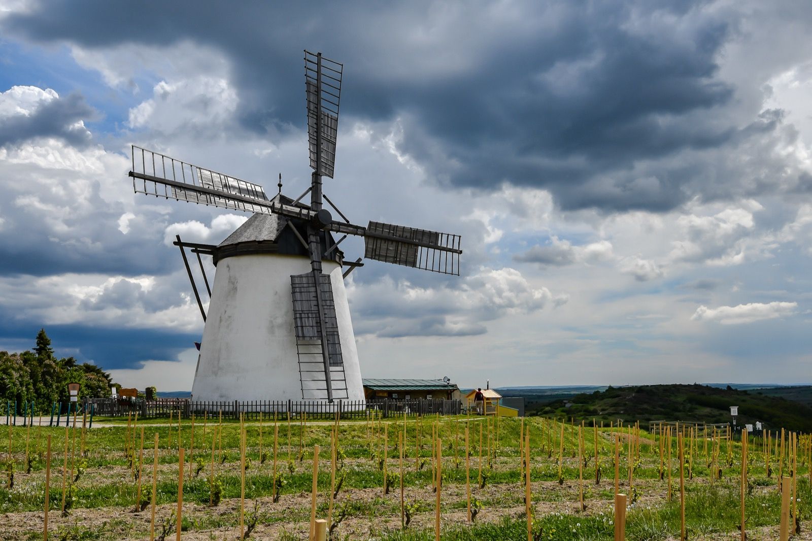 Die Retzer Windmühle über den Weinbergen des Weinviertels - eine von nur zwei betriebsfähigen Windmühlen Österreichs und das Wahrzeichen am östlichen Ziel der Tour.