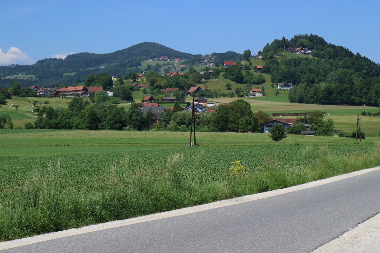 Sanfte Hügel am Ostrand des Schilcherlands bei Hallersdorf, direkt an der Strecke des Kainachtalradwegs.
