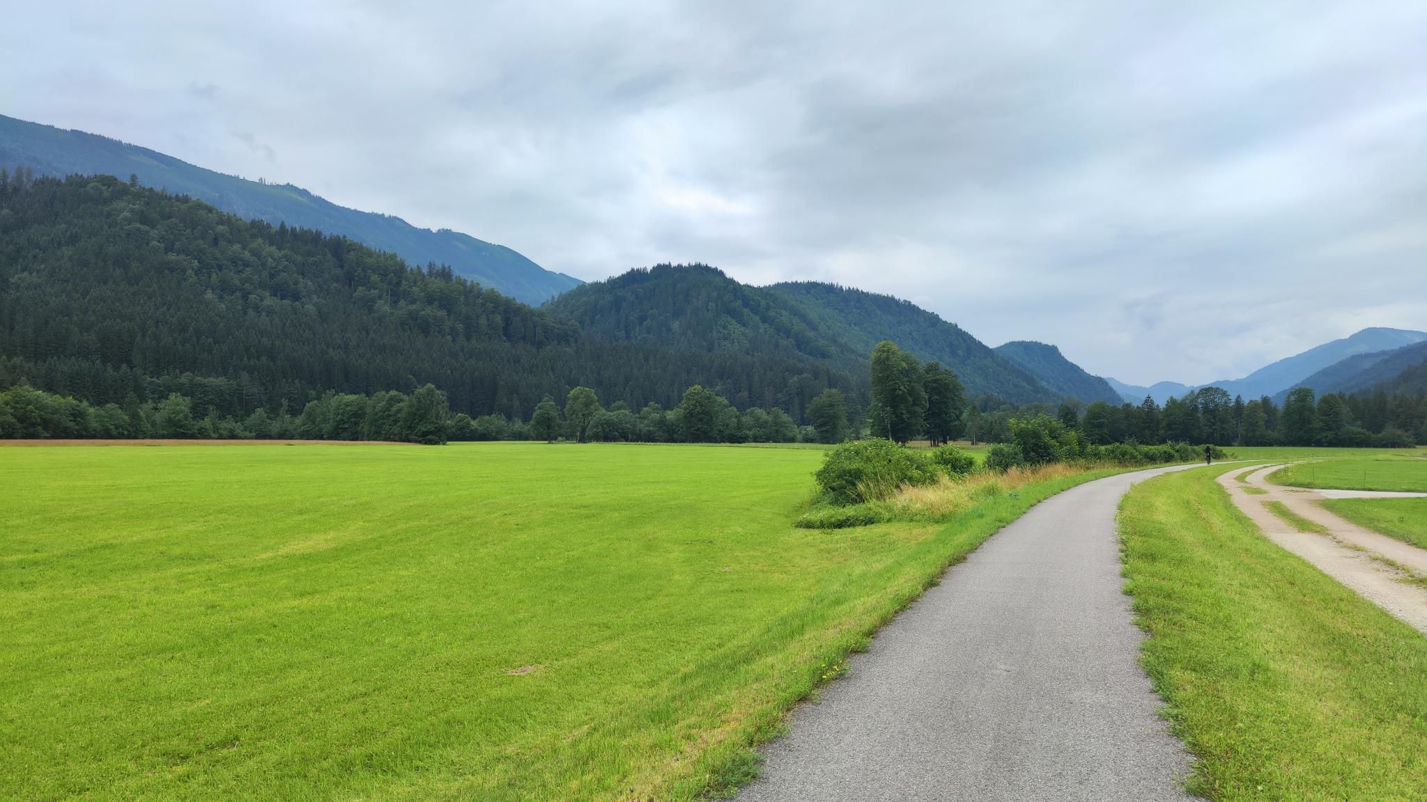 Der Ybbstalradweg durch die weiten Talwiesen im oberen Ybbstal