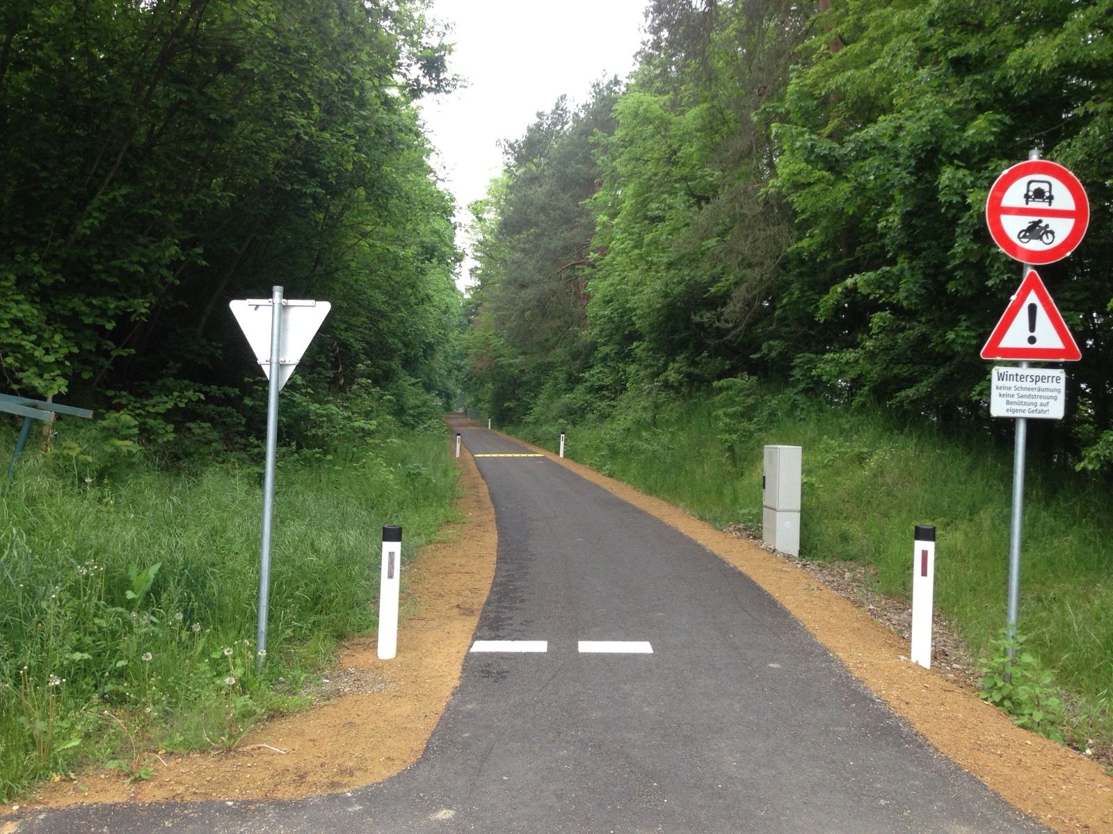 Asphaltierter Radweg bei Raabs an der Thaya - so fährt sich der gut ausgebaute, baumgesäumte Belag durch das Waldviertler Thayatal über weite Teile der Tour.