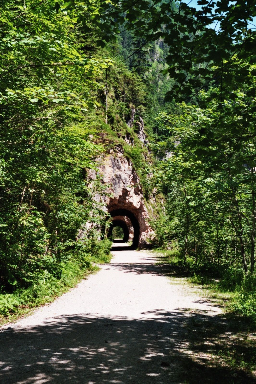 Die ehemalige Waldbahntrasse, heute der Schotter-Radweg durch das Reichraminger Hintergebirge.