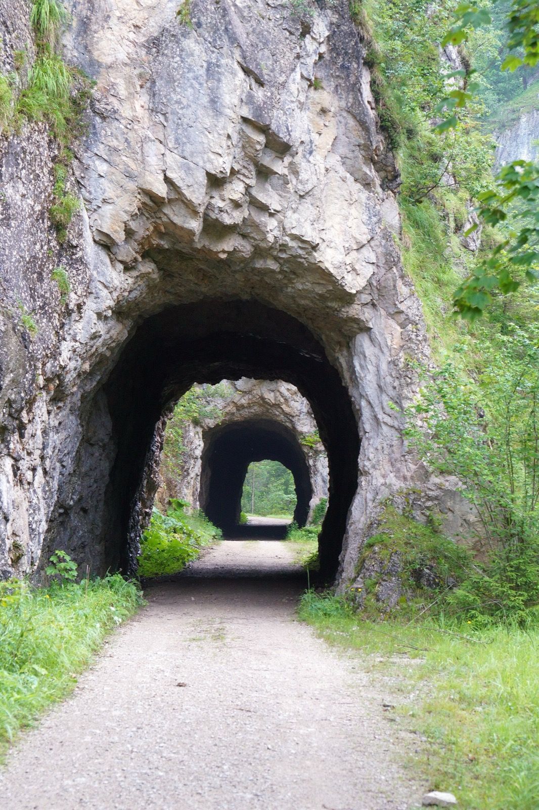 Ehemaliger Waldbahn-Tunnel auf der Trasse des Hintergebirgswegs - einer von elf befahrbaren Tunneln.