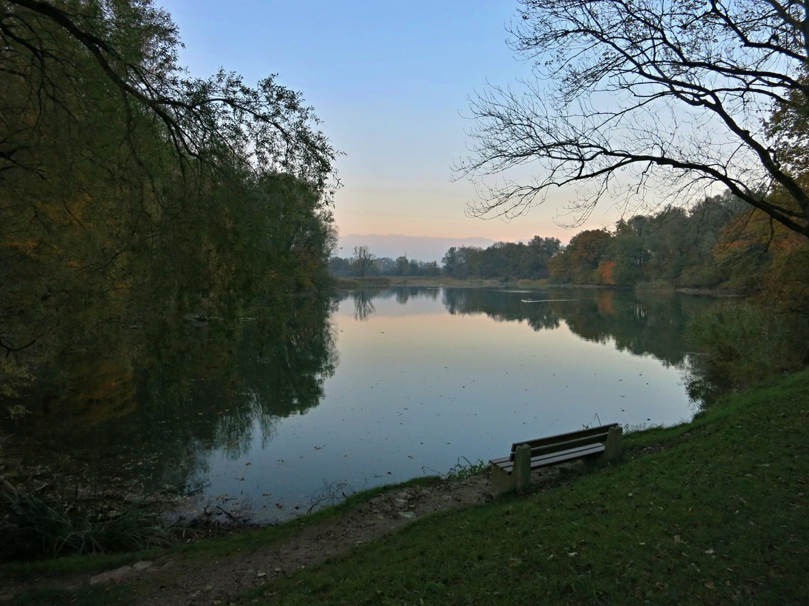 Der Wichenstein-Weiher bei Oberriet (Kanton St. Gallen) - Amphibienlaichgebiet von nationaler Bedeutung und der von der Initiative empfohlene Startpunkt auf der Schweizer Seite.
