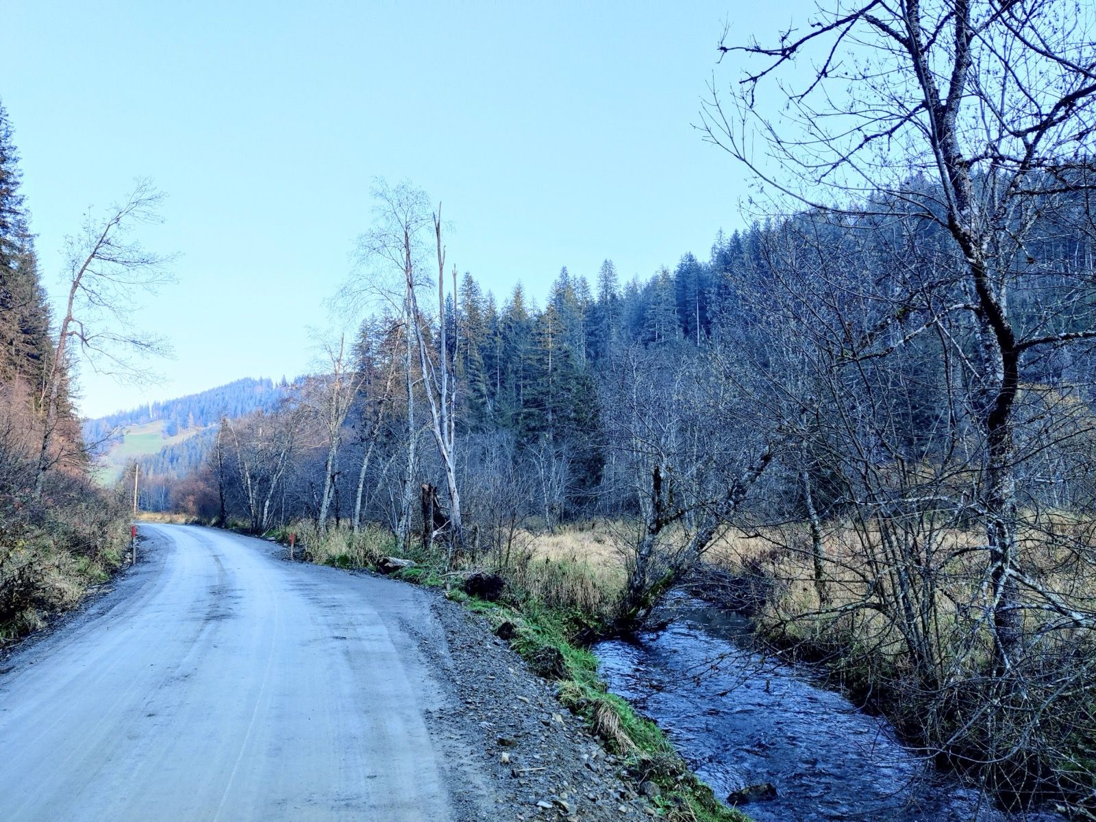 Schotterweg entlang des Wimitzbachs unterhalb der Burgruine Wullroß - solche Natur- und Forstwege prägen vor allem die mittlere Etappe durch das Innere Wimitztal.