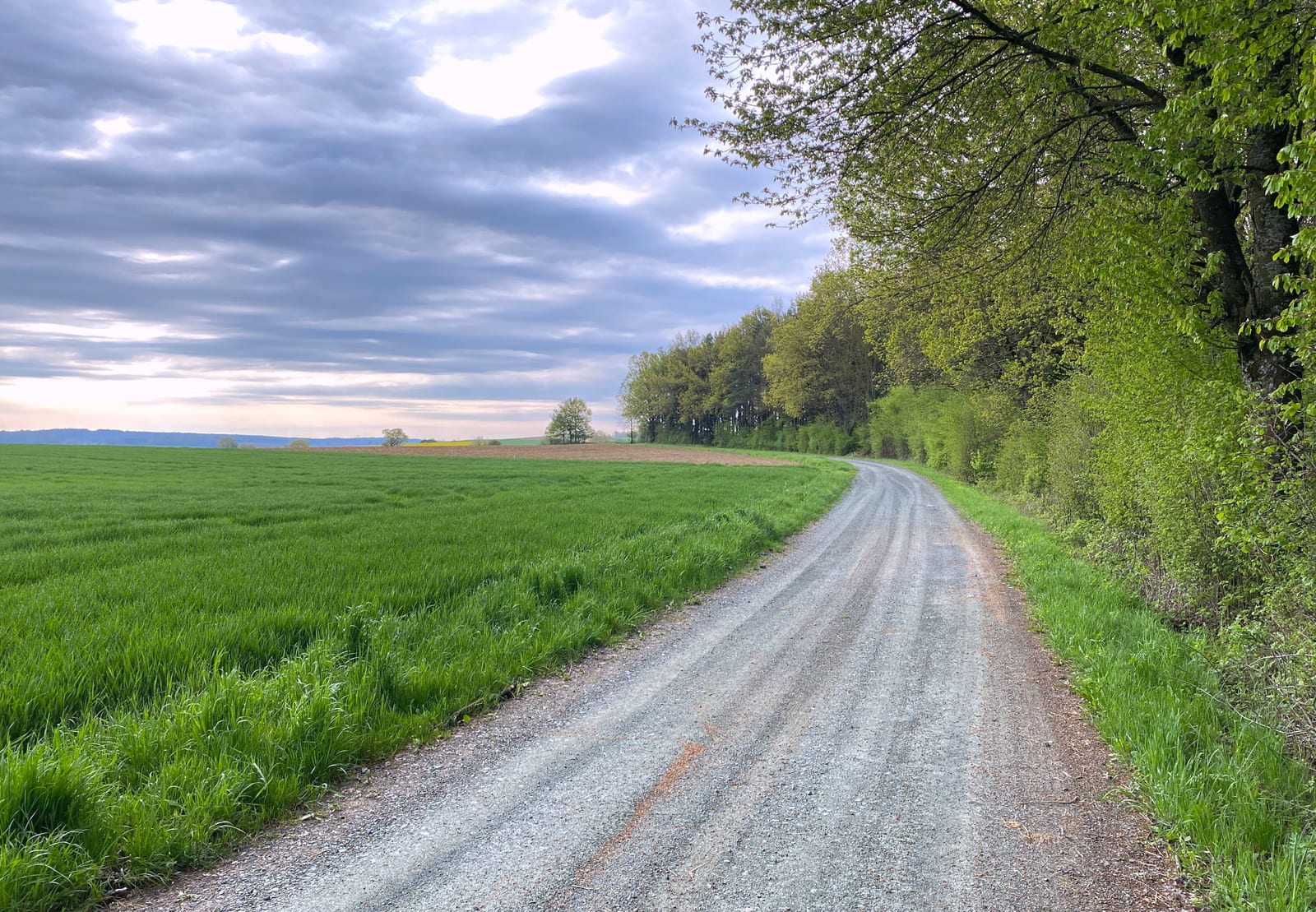 Grünes, sanft welliges Hügelland bei Unterschützen - die typische Landschaft des oberen Pinkatals.