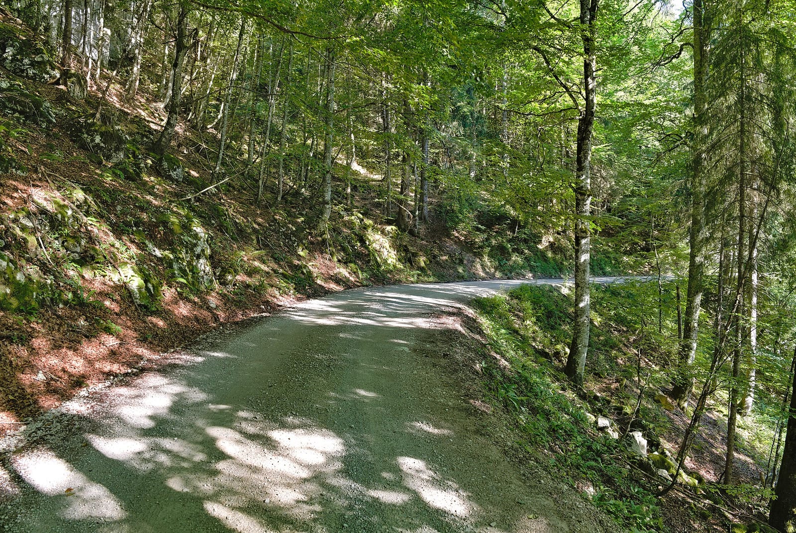 Bewaldete Kalkberge im Nationalpark Kalkalpen - die grüne Kulisse des oberen Steyrtals rund um St. Pankraz.