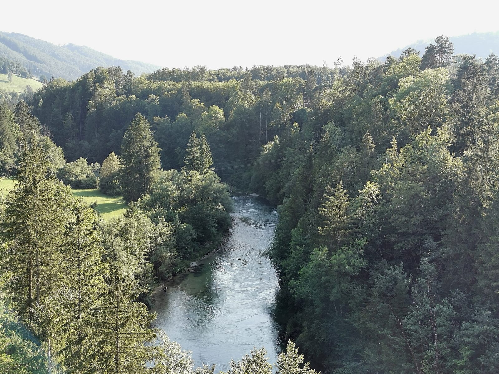 Das auffallend türkisgrüne Wasser der Steyr im bewaldeten Tal bei Molln, oberhalb des Steyrdurchbruchs.