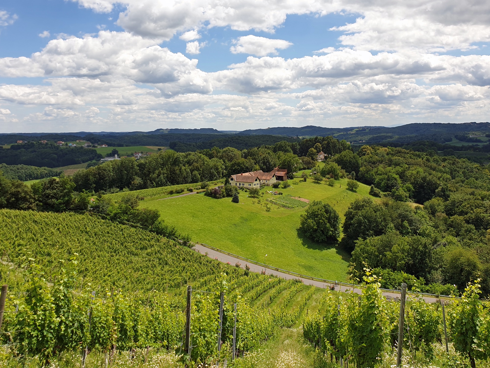 Stiller Weg durch Weingärten und Streuobst des Steirischen Vulkanlands bei Kapfenstein