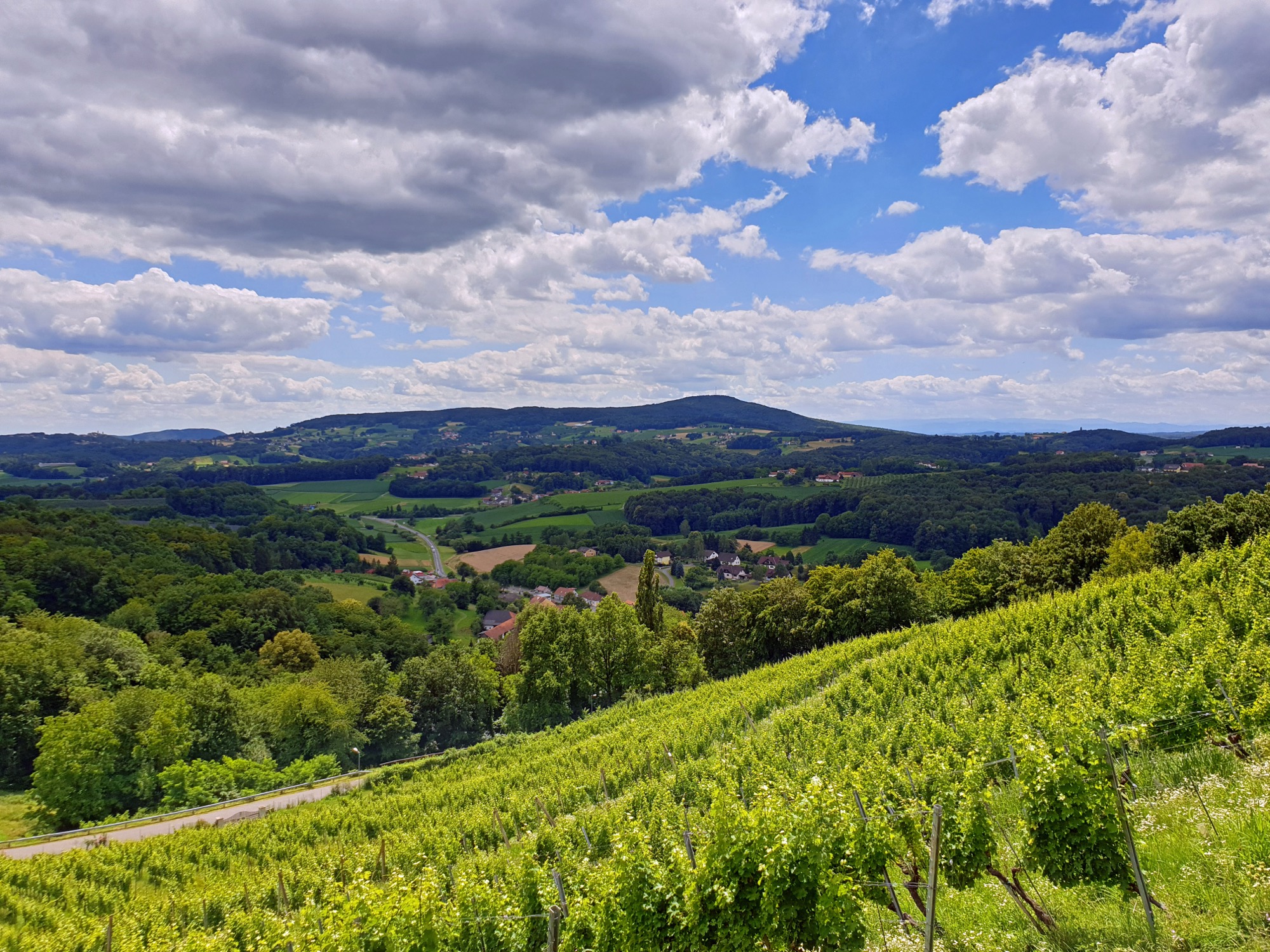 Die Weinhügel des Vulkanlands mit Blick zum Stradner Kogel im südlichen Streckenabschnitt