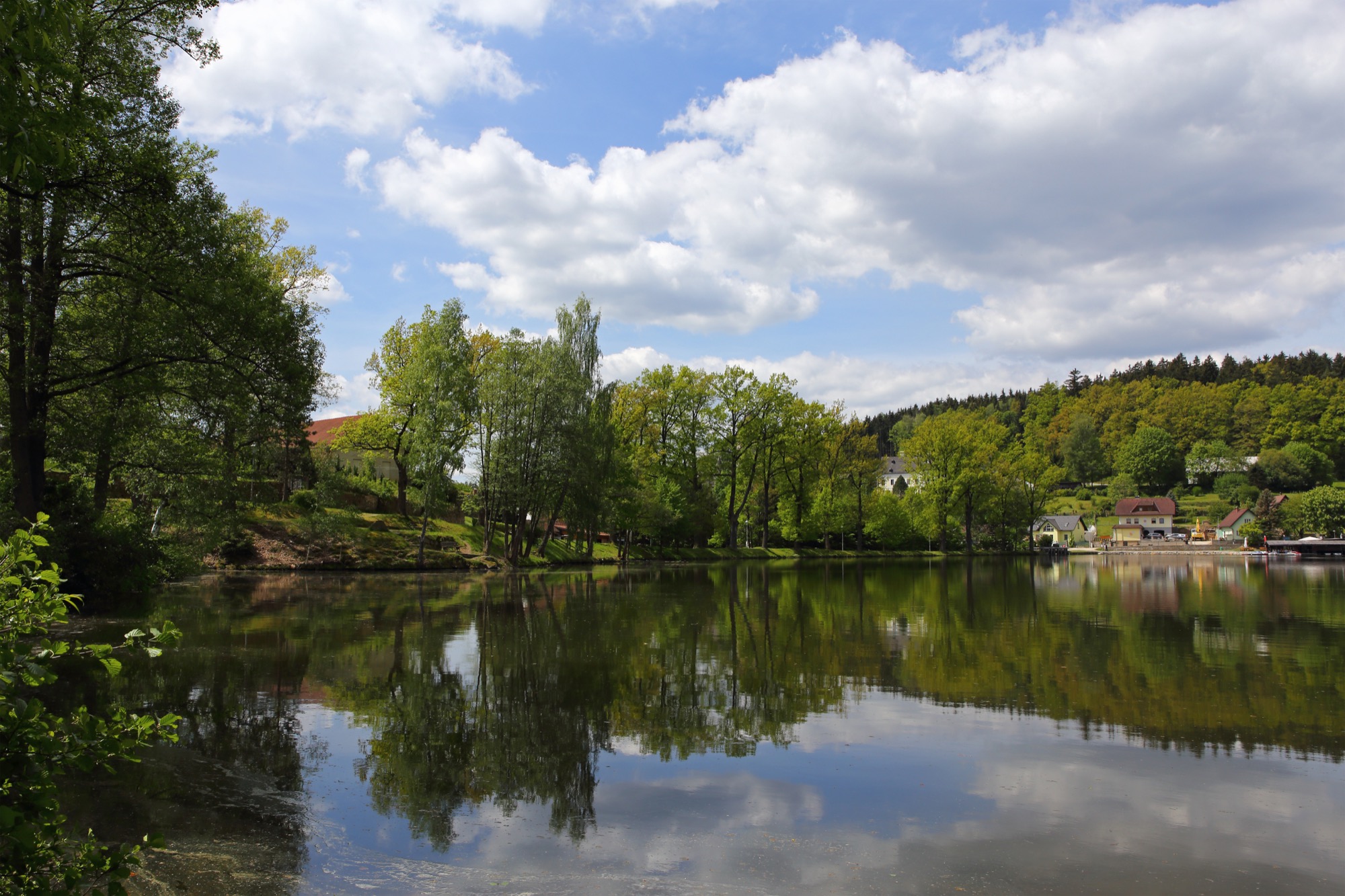 Der Herrensee bei Litschau, der nördlichsten Stadt Österreichs - klares Moorwasser im stillen Norden des Waldviertels